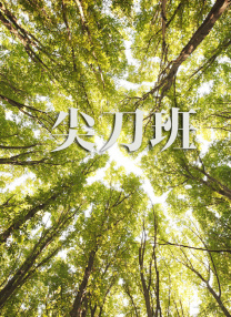 vvvdj清风